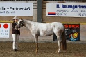 21-ApHC HMC_033